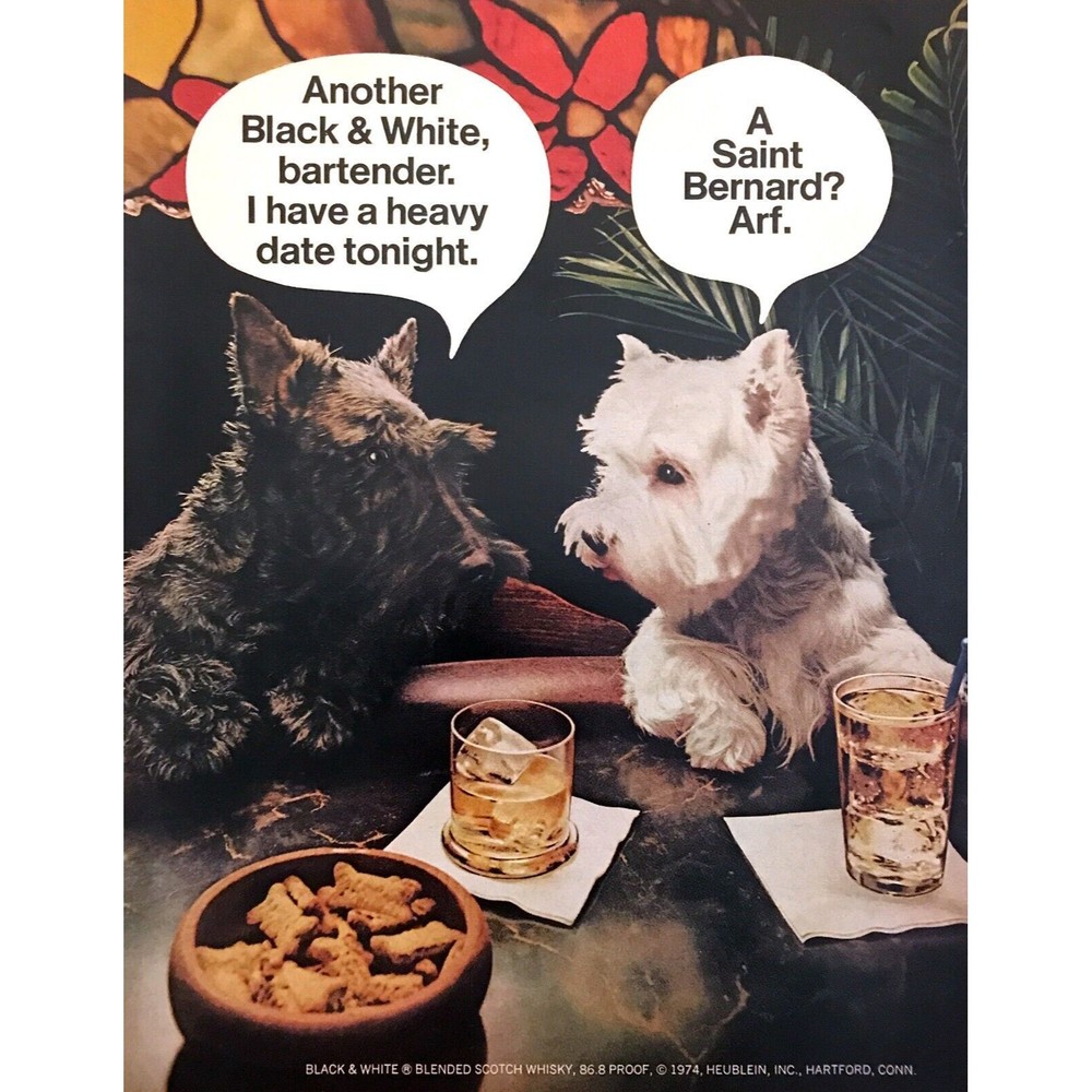 1974 Scottie & Scottish Terrier Westie Dogs at Bar photo Black & White Scotch Ad